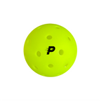 Pickleball Starter Kit
